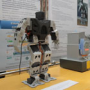 Региональный отбор Программы «Робототехника» «Hello, Robot!» LEGO – Белгород