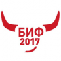 Белгородский интернет-форум «БИФ-2017»
