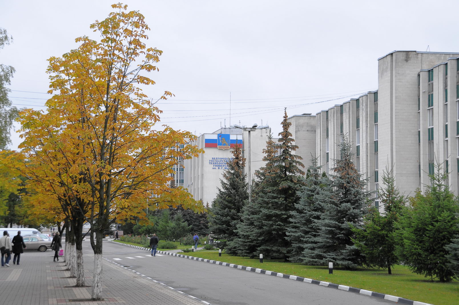 Бгту шухова карта