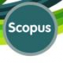 Открытый доступ к международному индексу научного цитирования Scopus