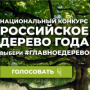 Проголосуй за «Российское дерево года»